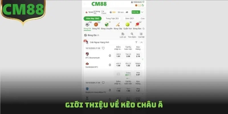 Giới thiệu về kèo Châu Á